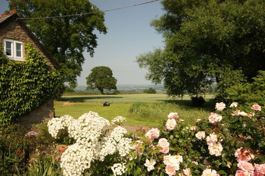 Bed and Breakfast Hills Farm Leominster Zimmer foto